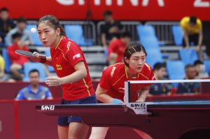 Specific Technical Differences Between Liu Shiwen and Chen Meng
